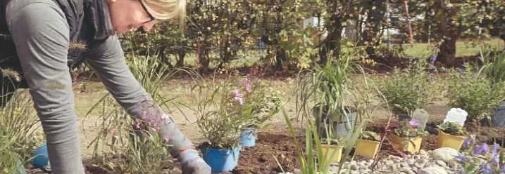 Person pflanzt am Uferrand Blumen ein.